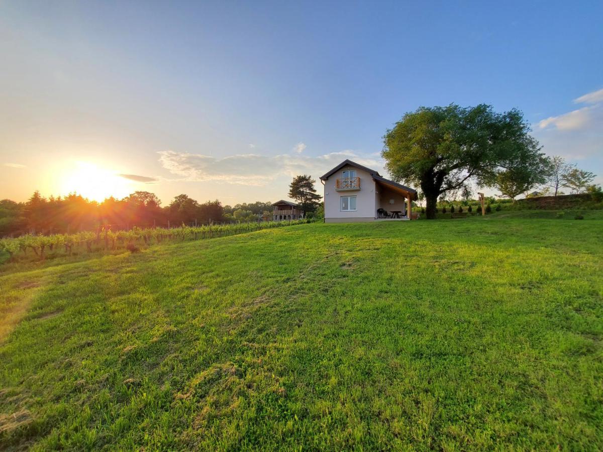 Holiday Home Vinovilla Kutjevo 외부 사진