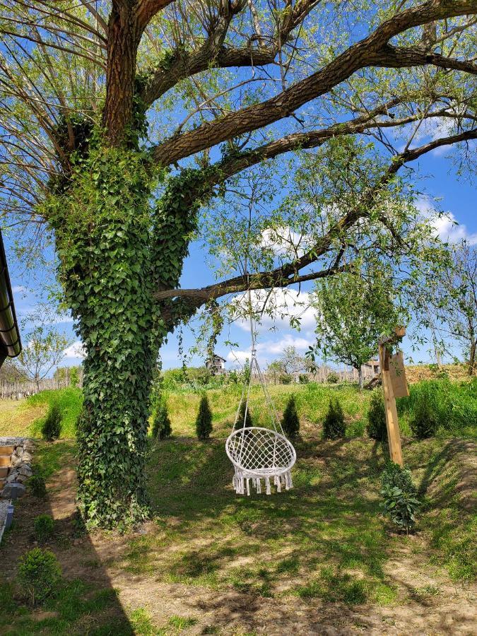 Holiday Home Vinovilla Kutjevo 외부 사진