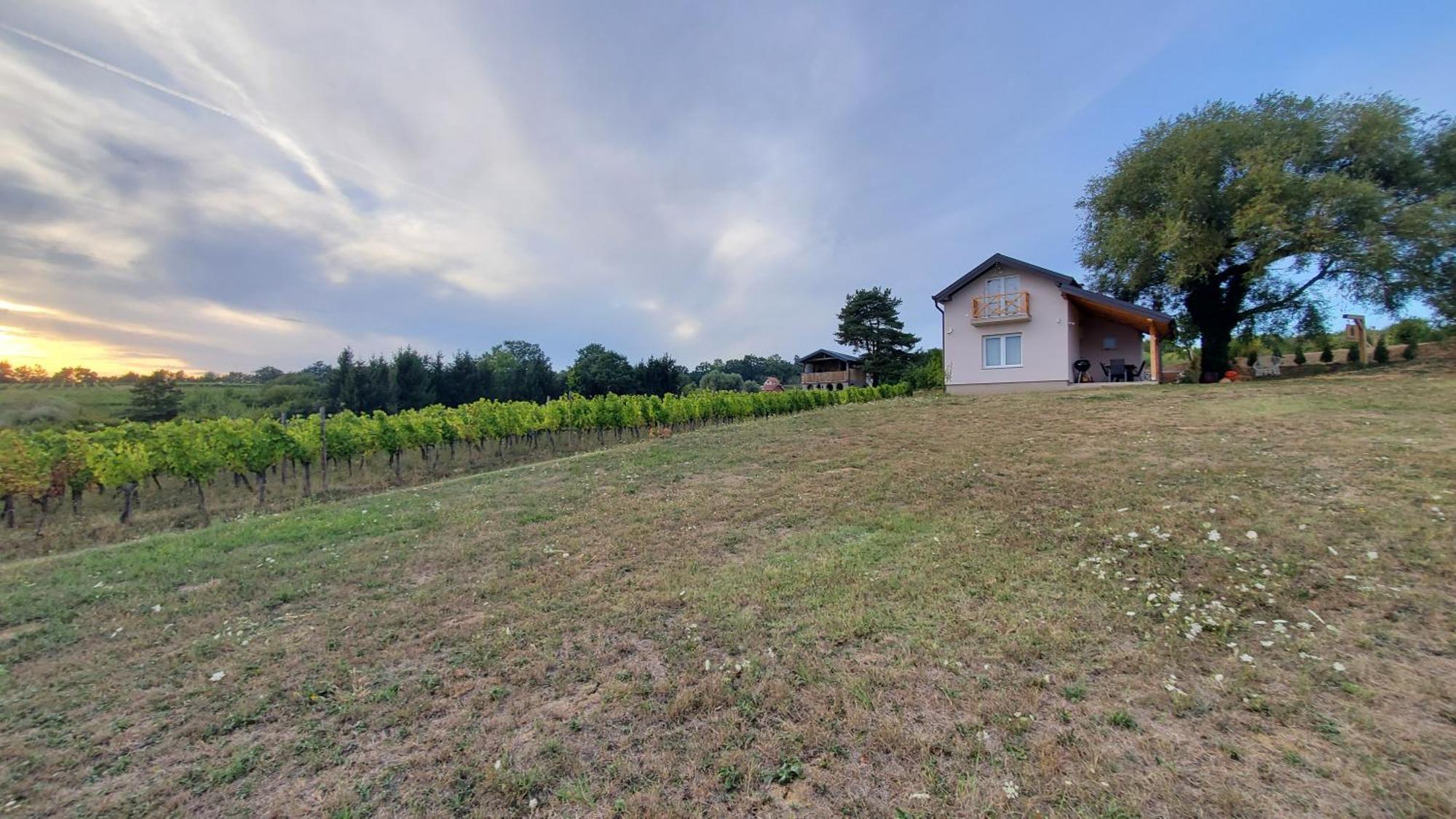 Holiday Home Vinovilla Kutjevo 외부 사진